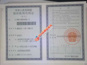 威想24小時自助洗車機 便捷高效的汽車服務(wù)新選擇